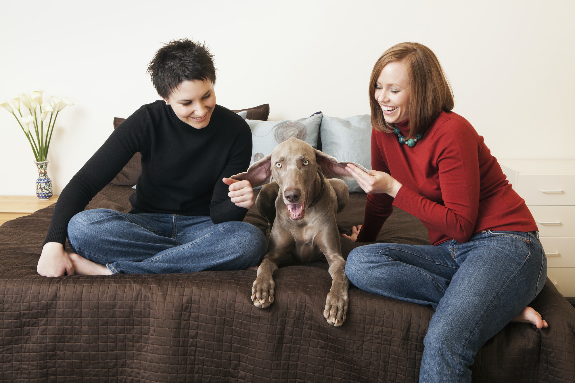 A same sex couple, two women posing with their weimeranar pedigree dog between them.